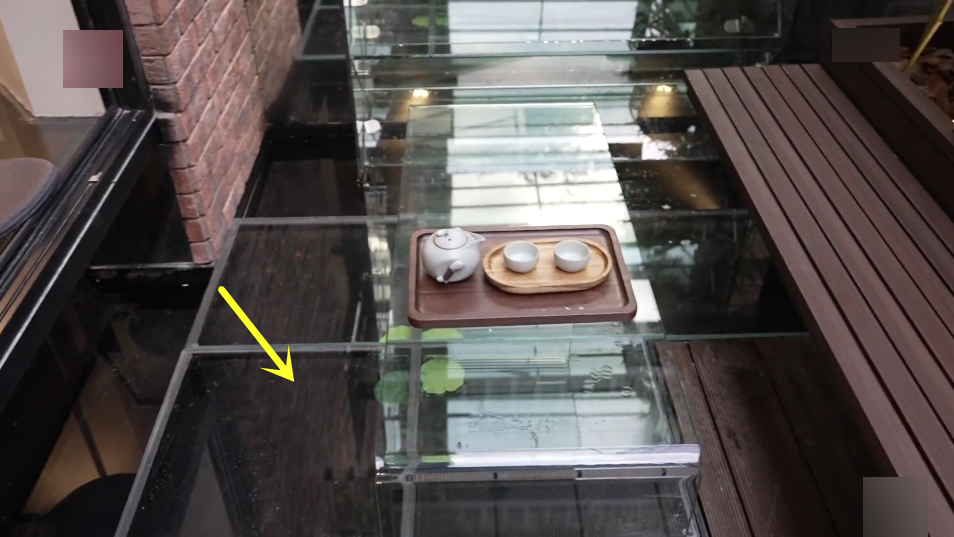 院子再小也要造个水景，鱼池上面架玻璃，人在上面走，鱼在下面游