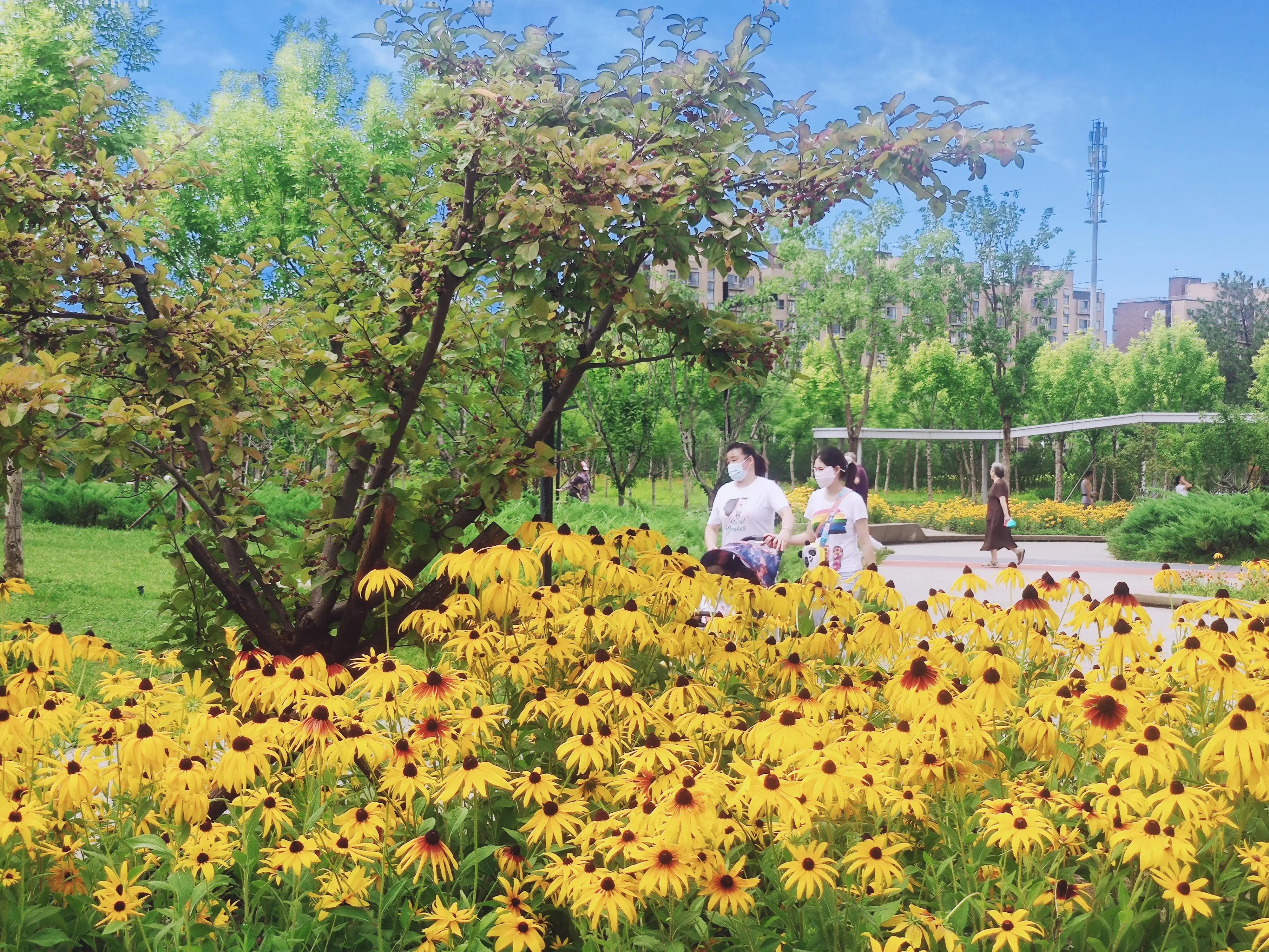 霍营公园,这才叫天籁之音