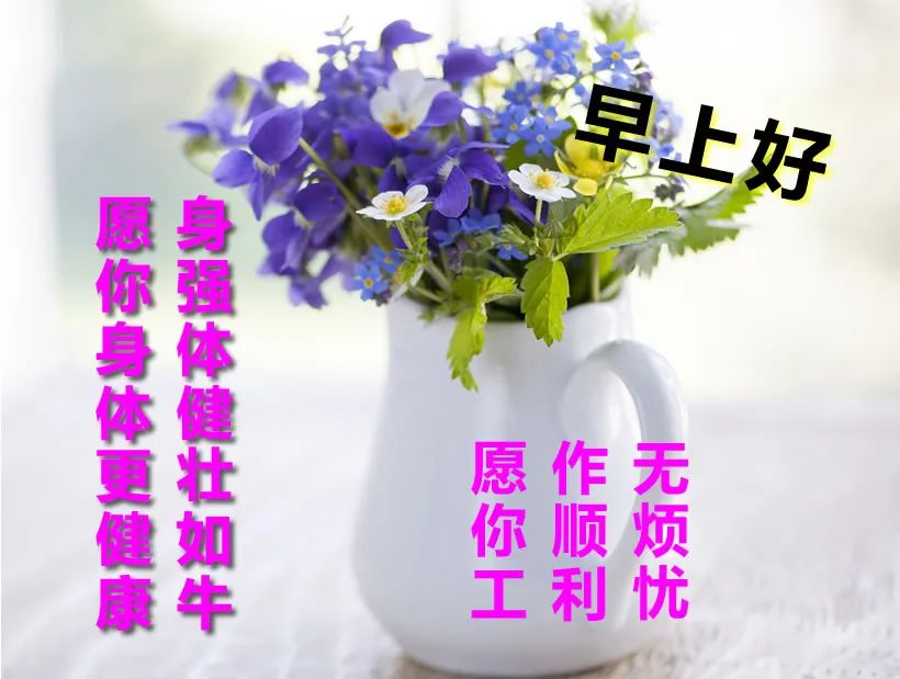​微信早上好图片表情祝福 新版早安问候语阳光正能量句子图片