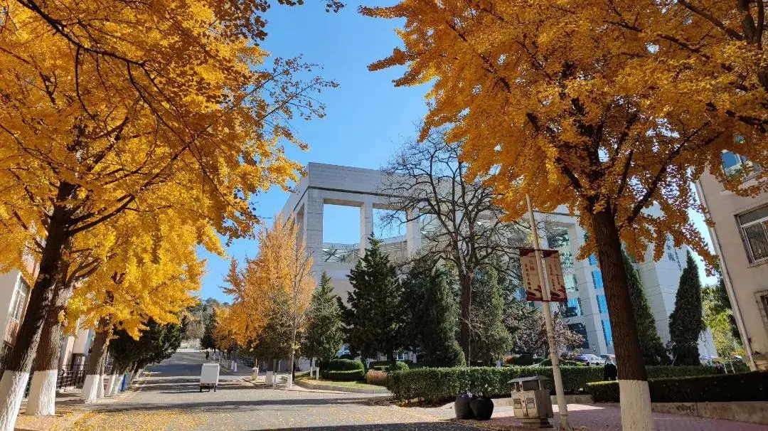 美术生快来安利！这八所轻工院校设计专业实力不输美院