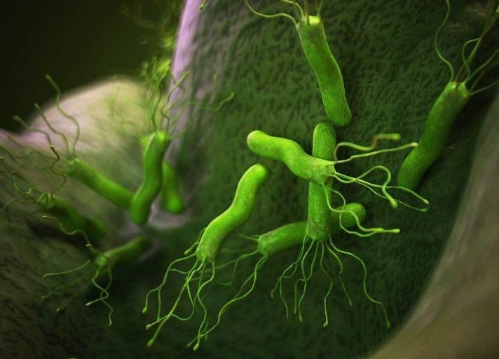 吹一口气就能传染?第1类致癌源幽门螺旋杆菌给胃部惹的那些事儿