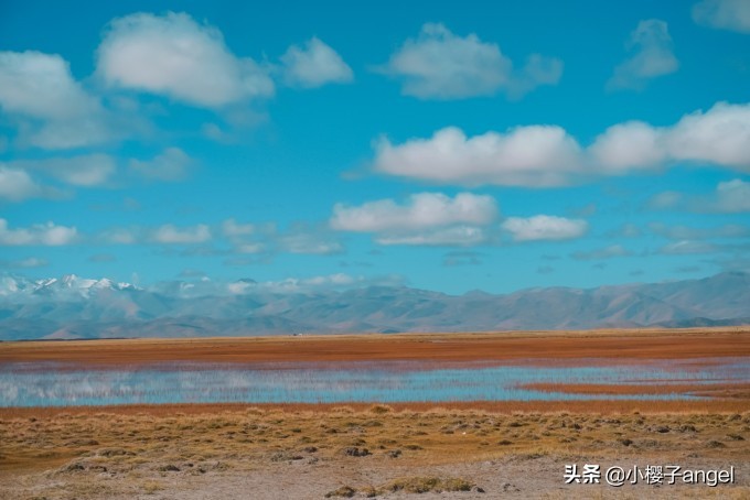 阿里南线｜西藏往西，奔赴滚烫山河