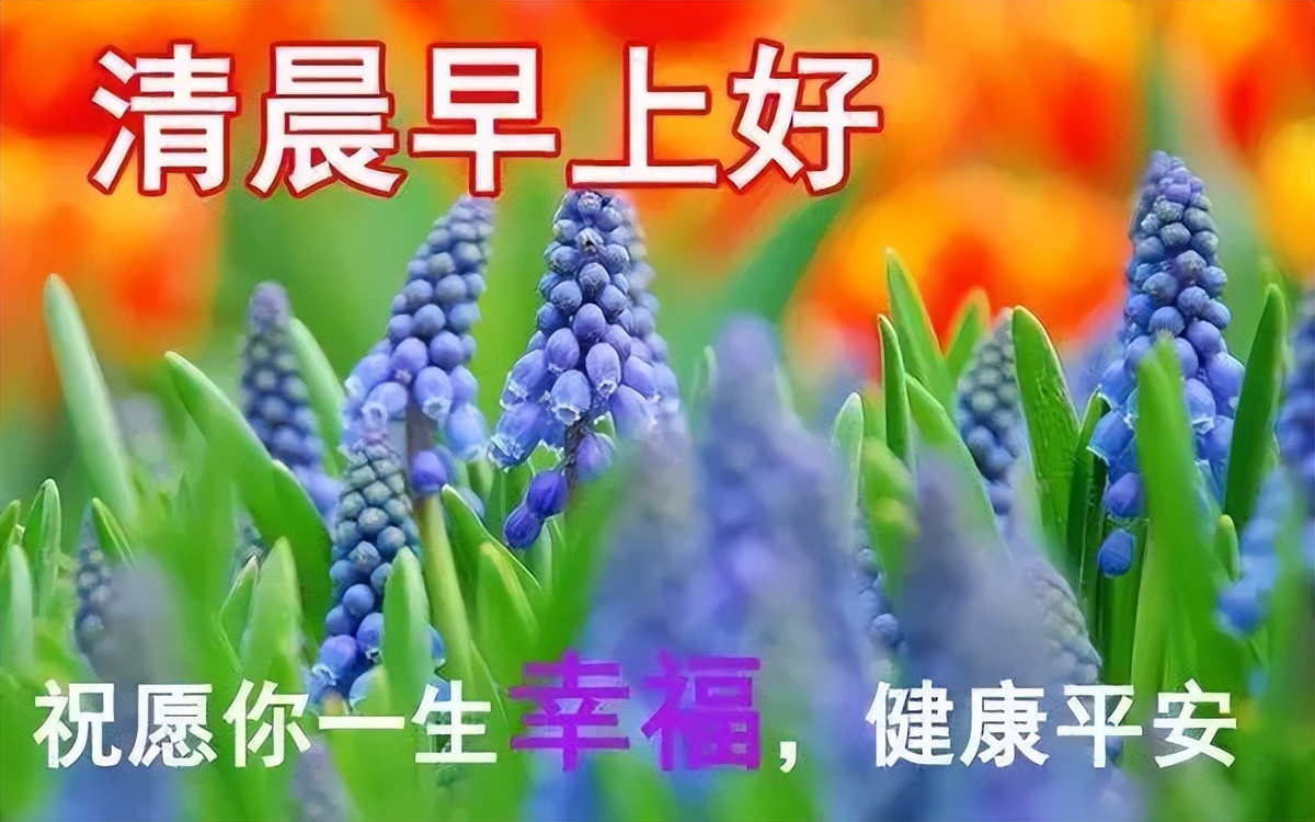 创意早晨早上好图片带祝福语大全 快乐好心情、天天乐呵呵图片