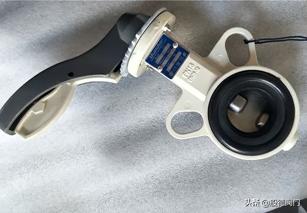 般德案例丨西亚某公司采购般德阀门铝合金蝶阀