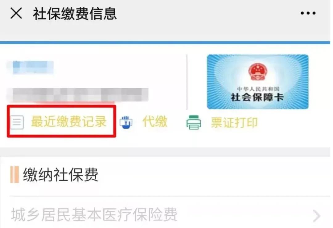 我试了所有的城乡居民医疗保险缴费方式，你想选哪一种呢？