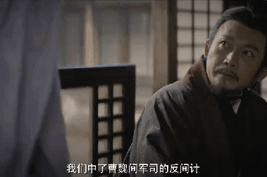 【法眼看剧】三国谍战职场——《风起陇西》