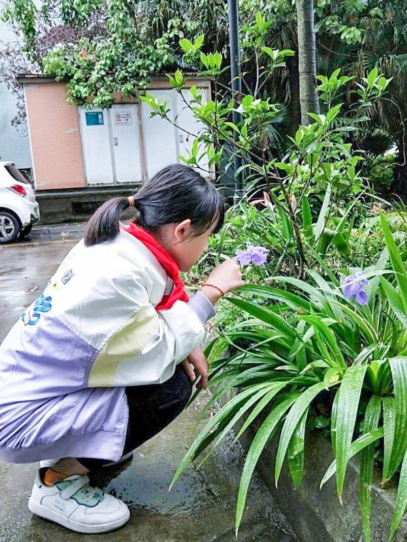 黄甲小学开展“人人参与科技节，我的科技节我做主”科技节活动