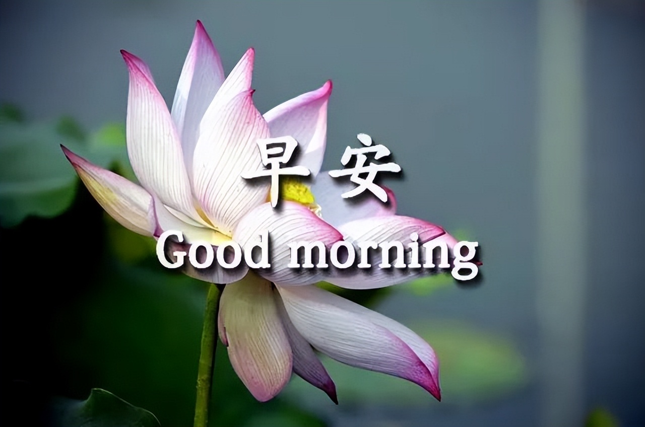 周二早上好温馨祝福句子送给大家 早安我的朋友，心好一切都好图片