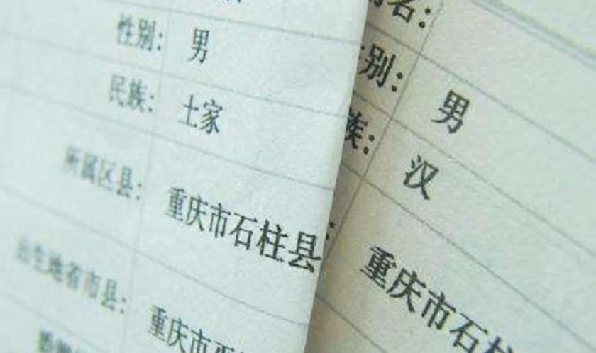 重庆高考状元何川洋：659分考上北大，却因身份造假遭北大拒录