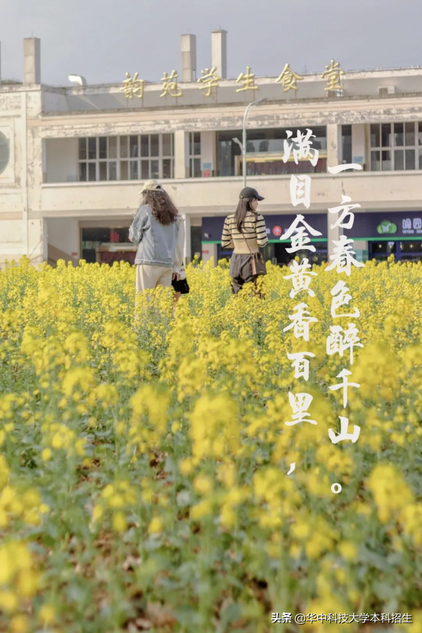 急速升温！这个夏天，华中科技大学将成全国“最火热”大学！吸引世界目光！