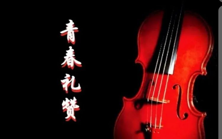 铁血青春燃岁月，铁兵美文赞芳华