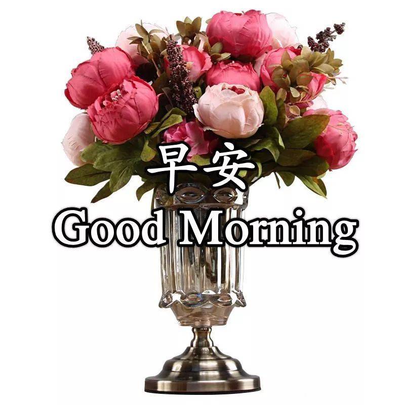 朋友圈早上好问候语 早安祝福语大全 天气多变，注意别感冒图片