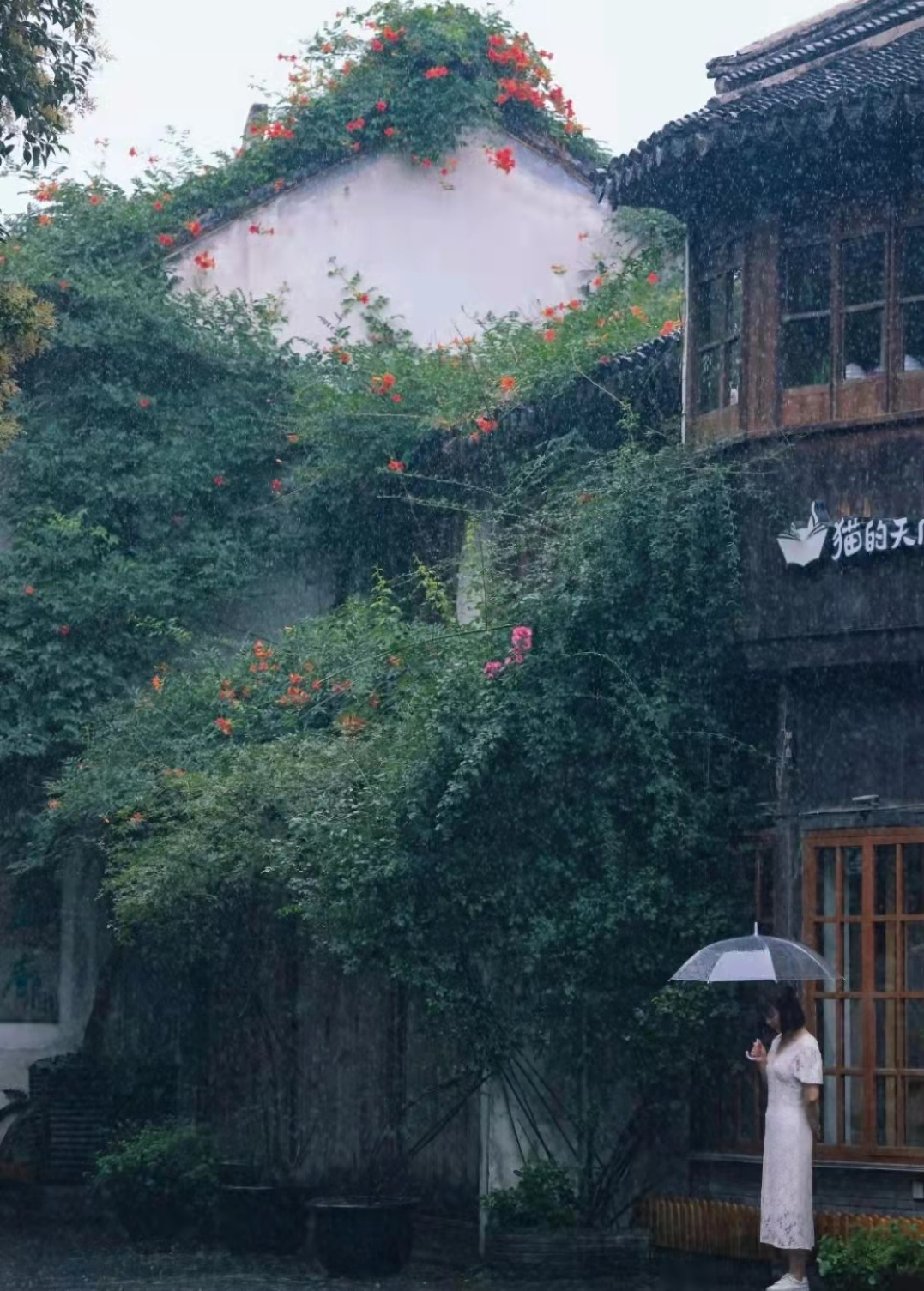 每次一下雨，就想离开苏州