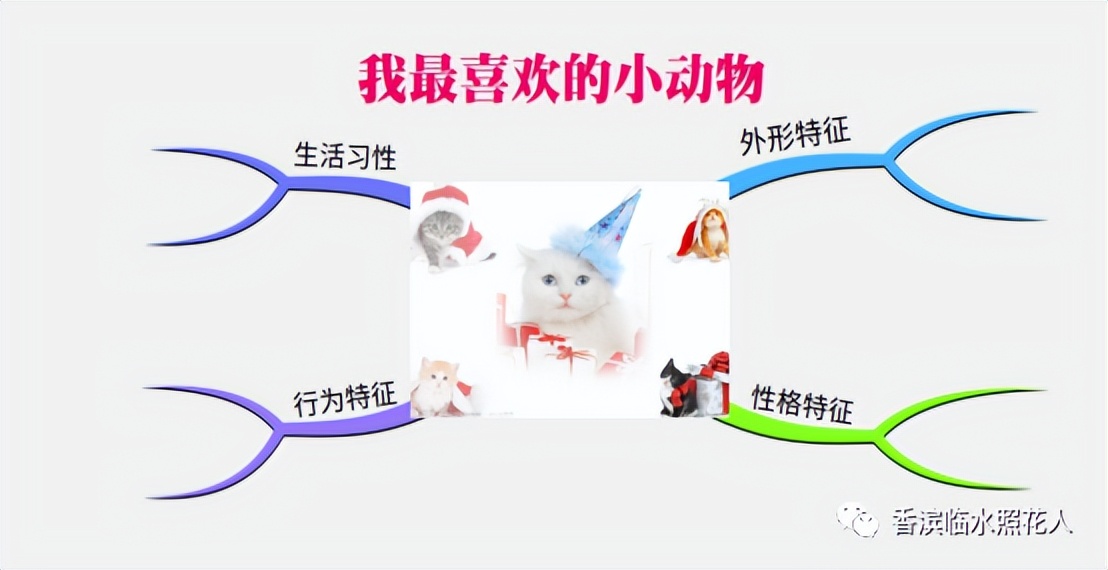 「五年级“我的心爱之物”」李墨轩《鹦鹉三花猫》（二十六）
