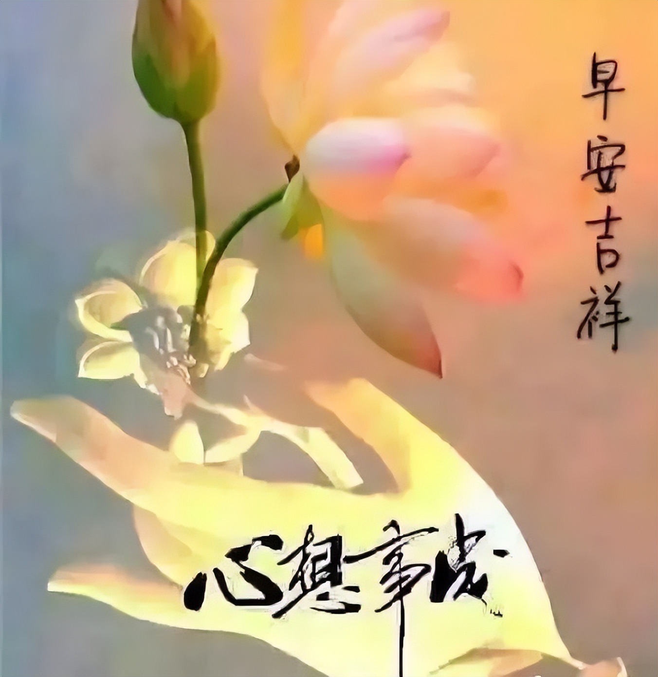 早上好祝福，清晨微信问候，美好祝福送给你，出门加衣，注意防寒图片