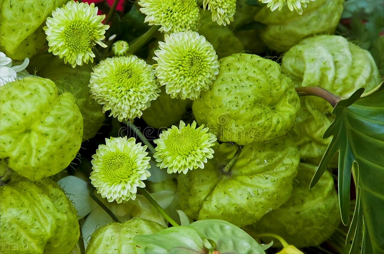 一花一世界，花开富贵醉春天，山清水秀情满园，最美人间四月天