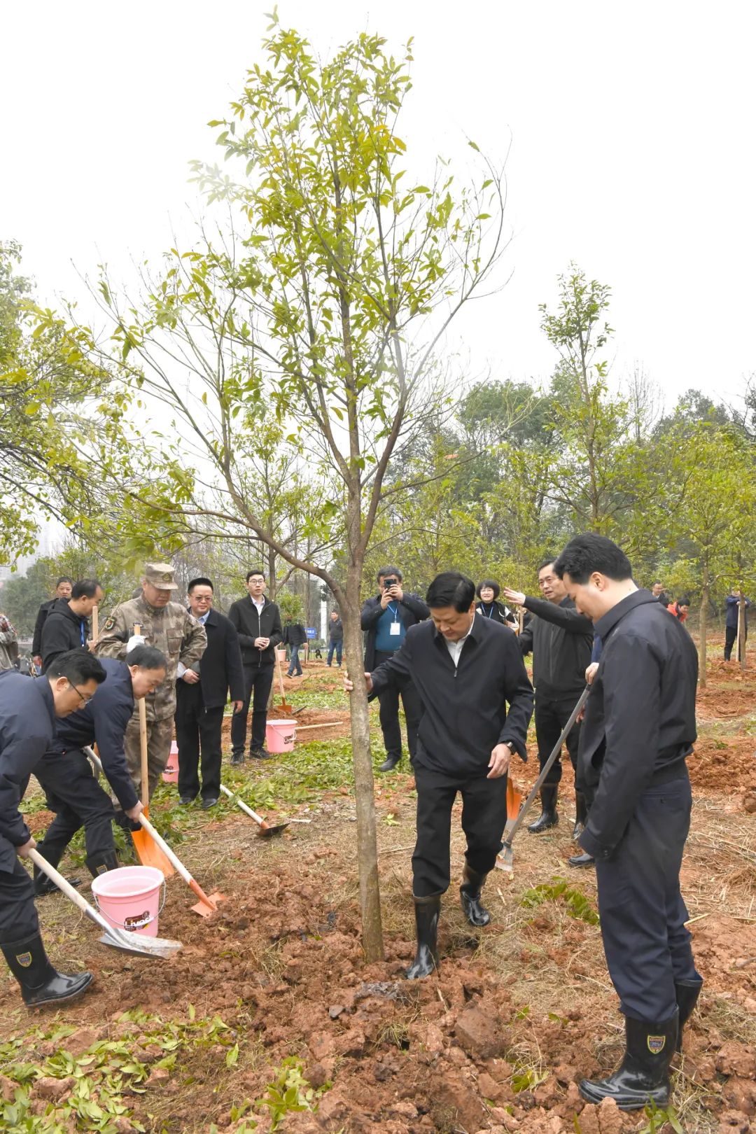 创国家森林城市 建怀化绿色家园 黎春秋王建球李万千印宇鹰等参加义务植树活动