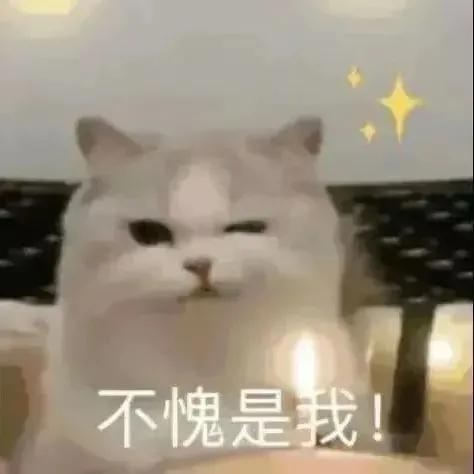 不愧是我