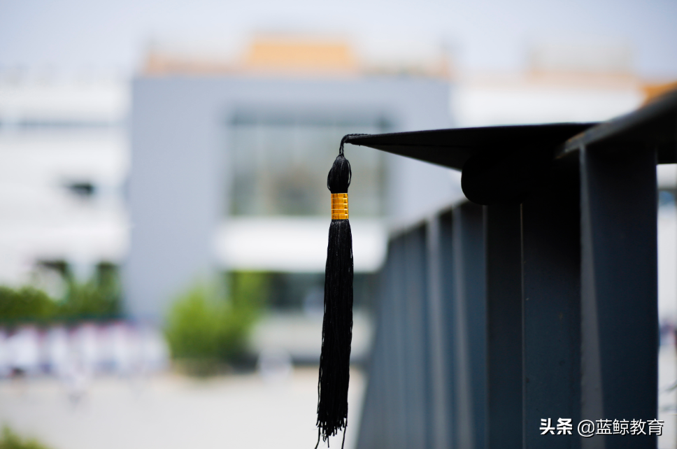 “最难就业季”，他们选择“慢就业”