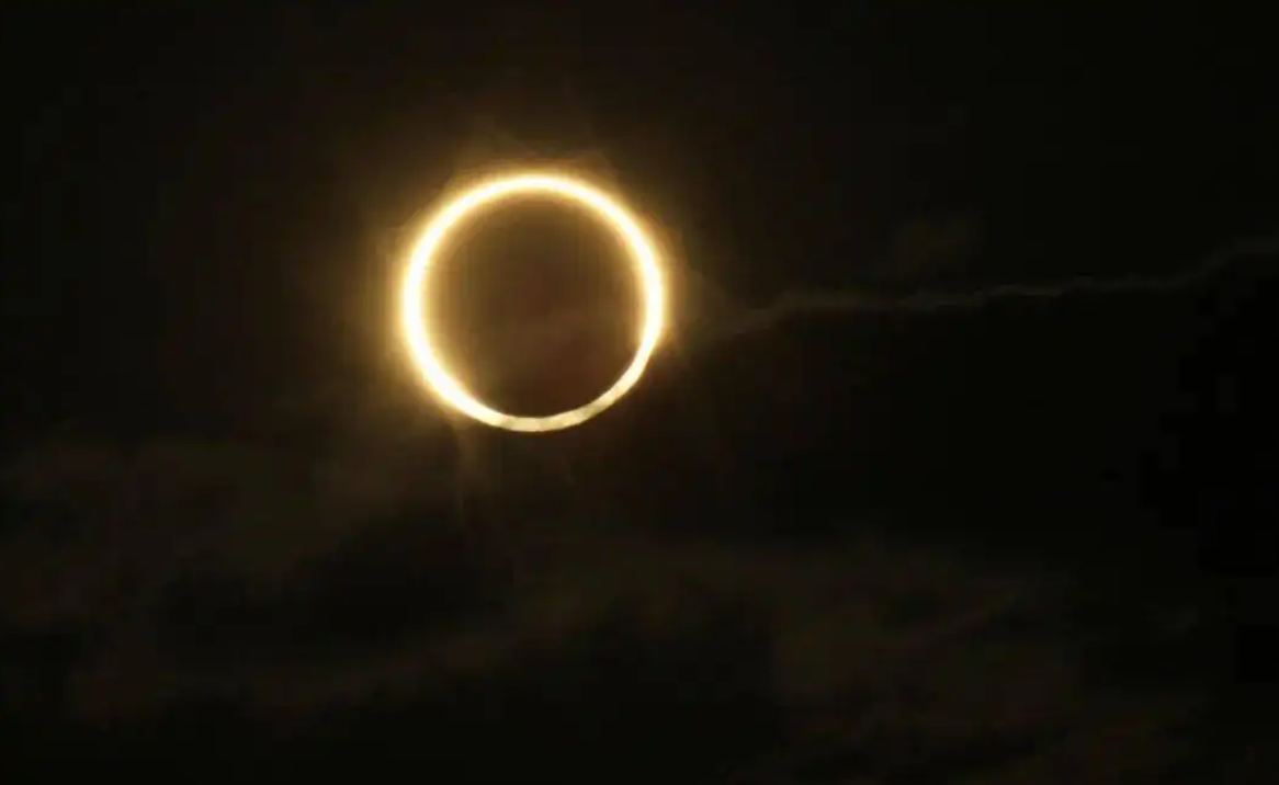 2022����ʳ�����ݣ��칷ʳ��Ϊ�λ����˲�Ը������ʲô�ط��ɼ���