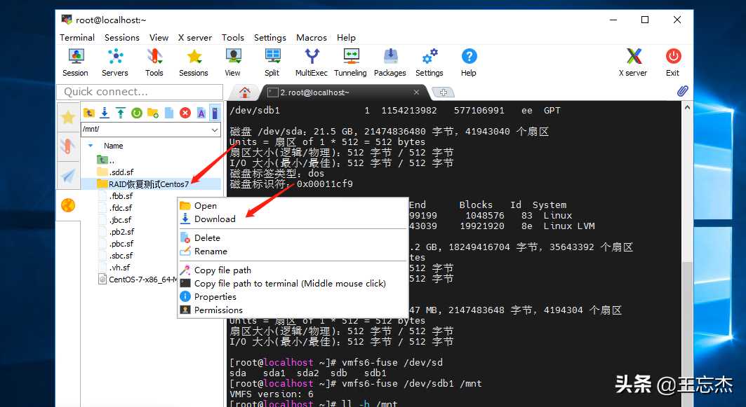 硬件RAID阵列数据重组，vSphere VMFS文件系统虚拟机文件提取