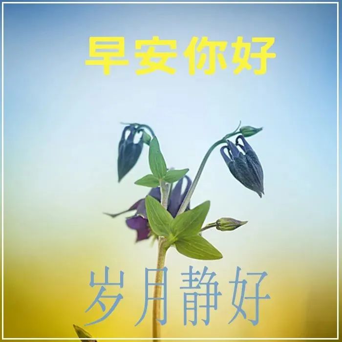 「2022.05.08」早安心语，母亲节正能量语录句子 祝福海报图片带字