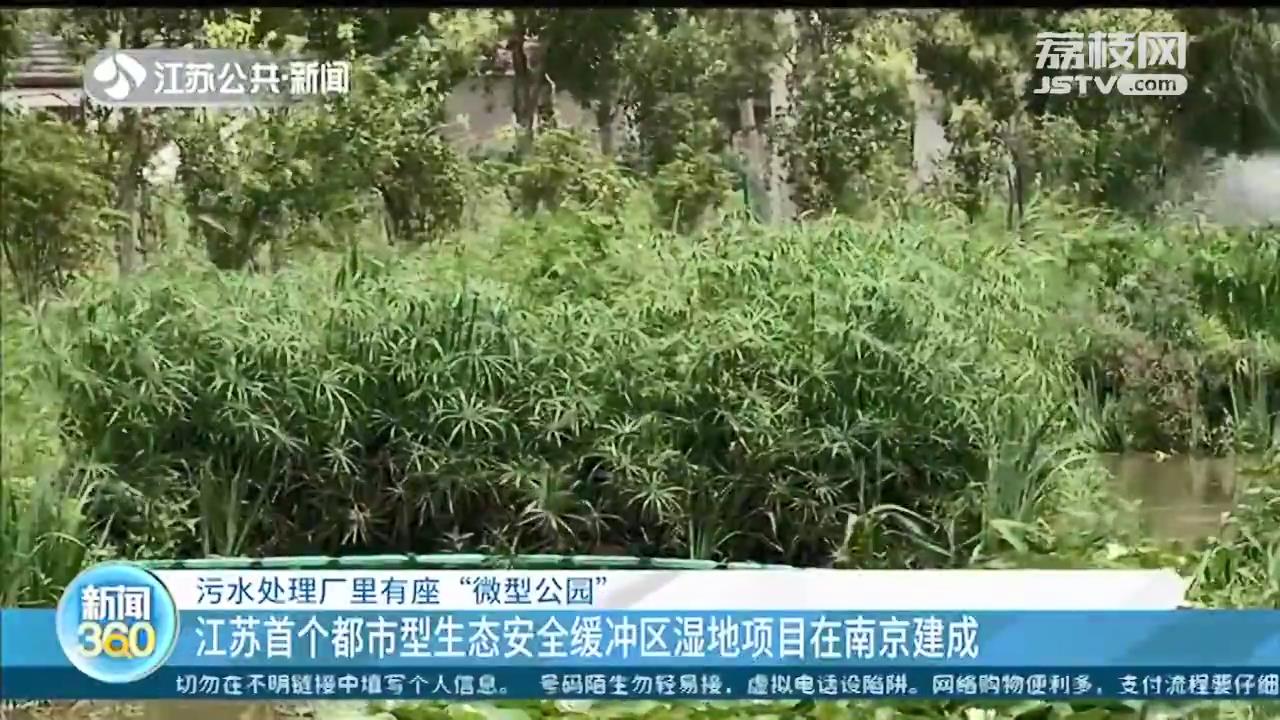 污水处理厂的出水还能养鱼？全靠这片生态安全缓冲区