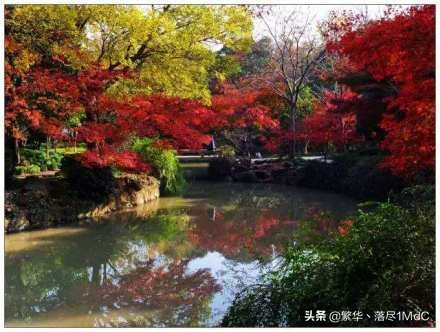 嘉定区有几个镇和街道（嘉定区上海市辖区介绍）