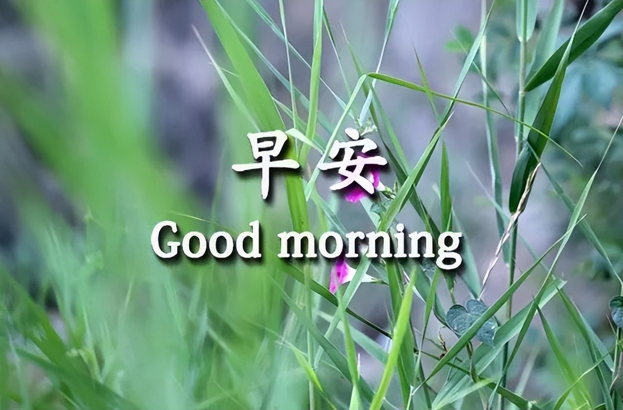 今日最新早上好动图表情包祝福图集 早安吉祥、心想事成、万事如意图片