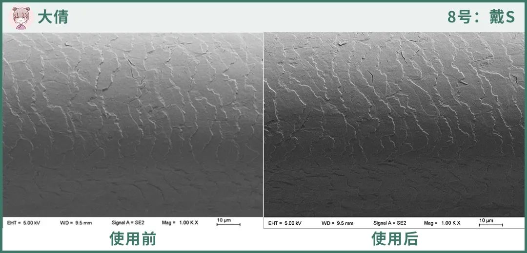 真人实测11款吹风机：近3000的贵价吹风机，到底值不值得买？