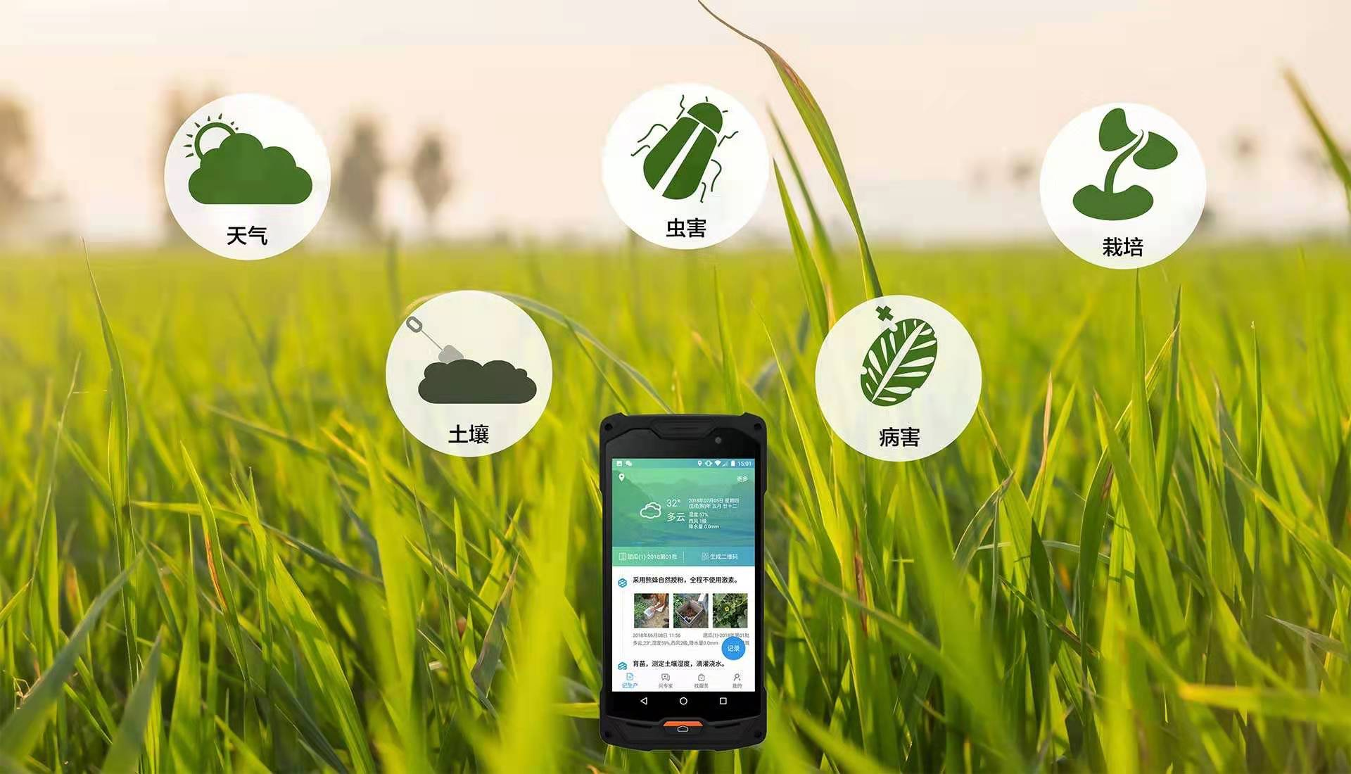 互联网的尽头是养猪？互联网的大佬们，为何纷纷进军养猪业