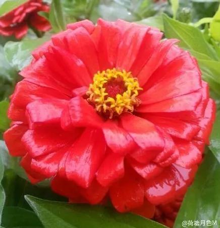 春天里，春风得意马蹄疾，一日看尽长安花