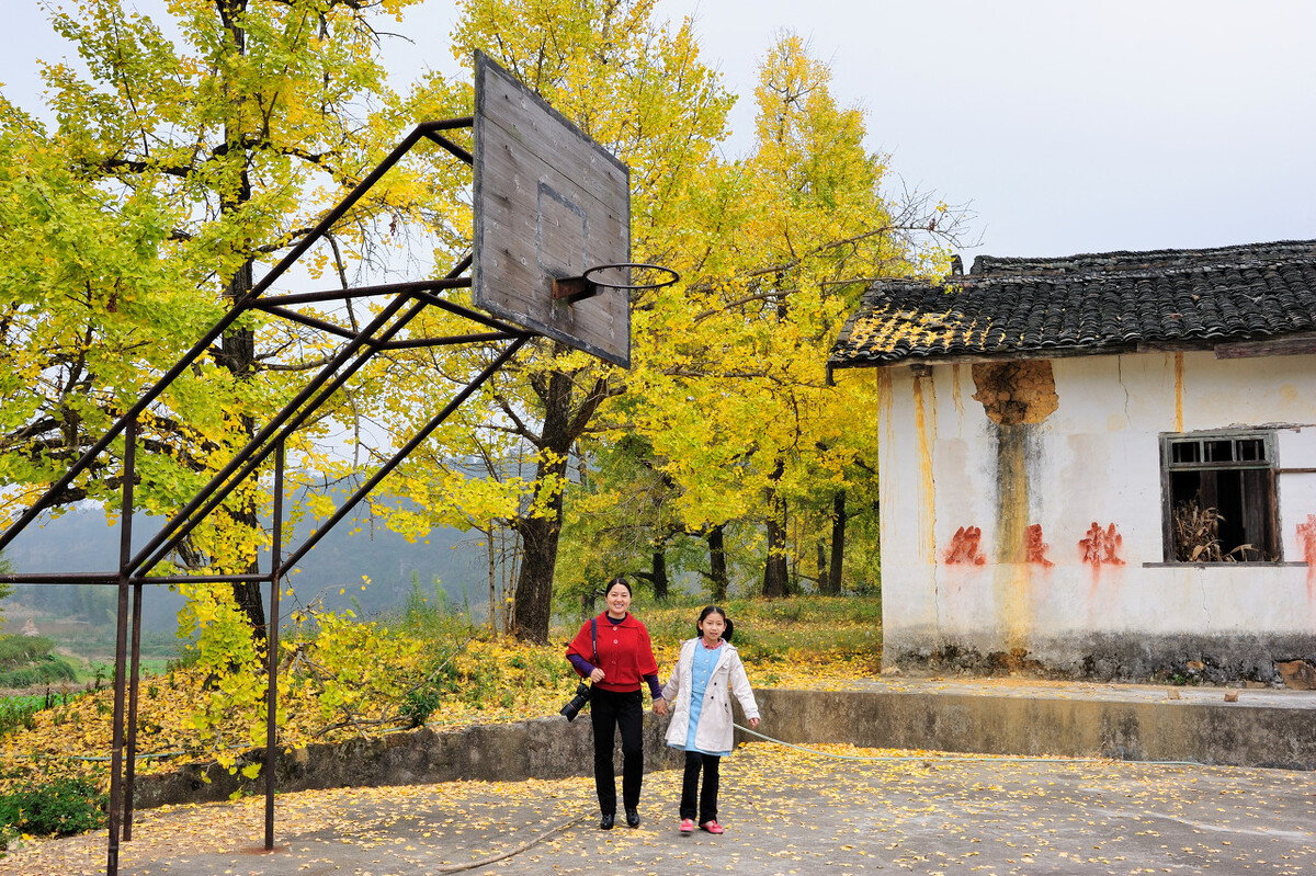 广西转设成功的5所独立学院，近两年刚招生收分略低，本专科都有