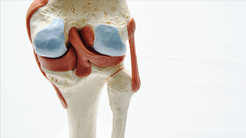 半月板损伤怎么办?到底要不要做手术?这样去选择更为理性