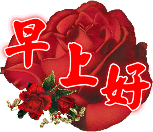 2022周二早上好祝福语带字带祝福语图集 愿你健康永久、快乐永久图片
