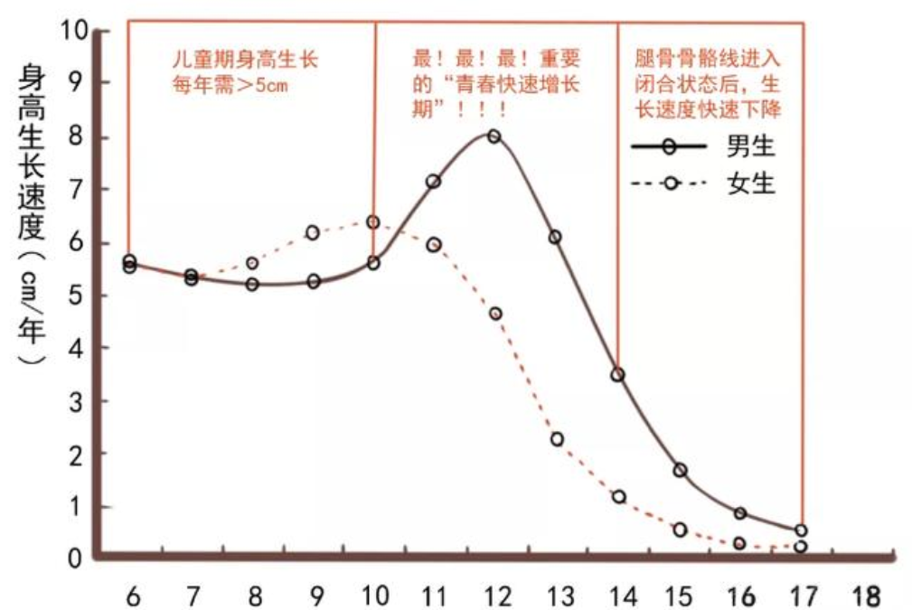 《新版儿童身高发育参照表》男孩女孩都有，你家孩子达标了吗？