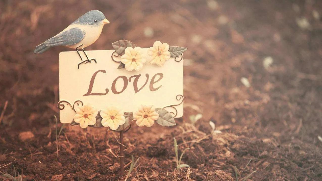 女子甩300万逼男子与妻子离婚，达到目的后又要求退钱，法院判了