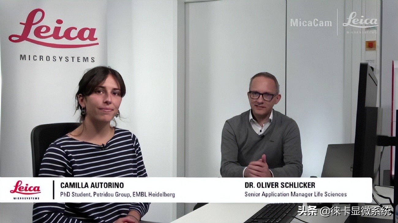 MicaCam课堂 第2集 了解斑马鱼胚胎发育过程中细胞连接的影响