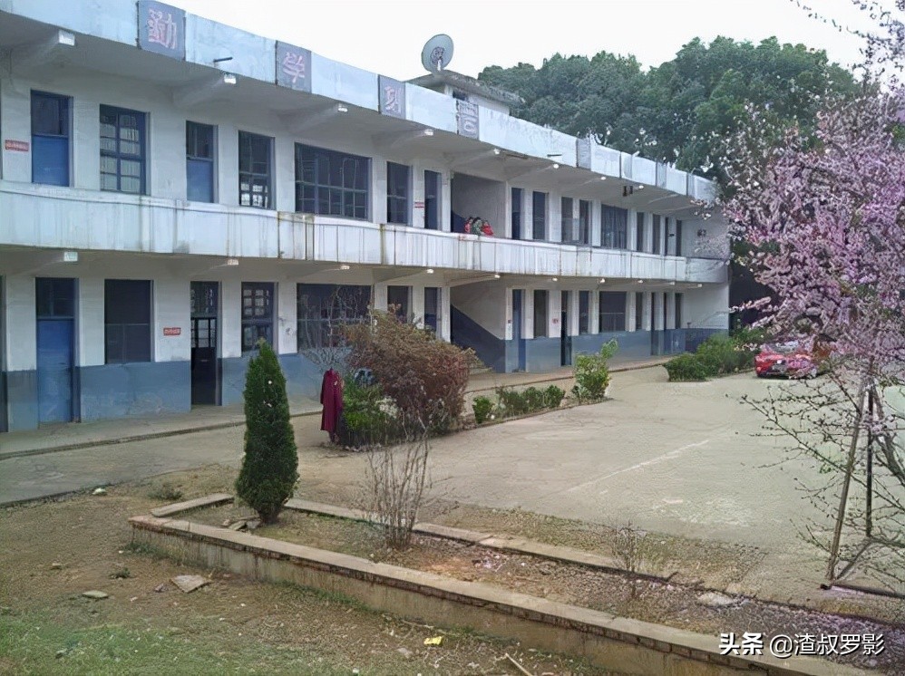 湖南神童魏永康17岁考上中科院，为何三年后遭劝退，最终死在旅馆