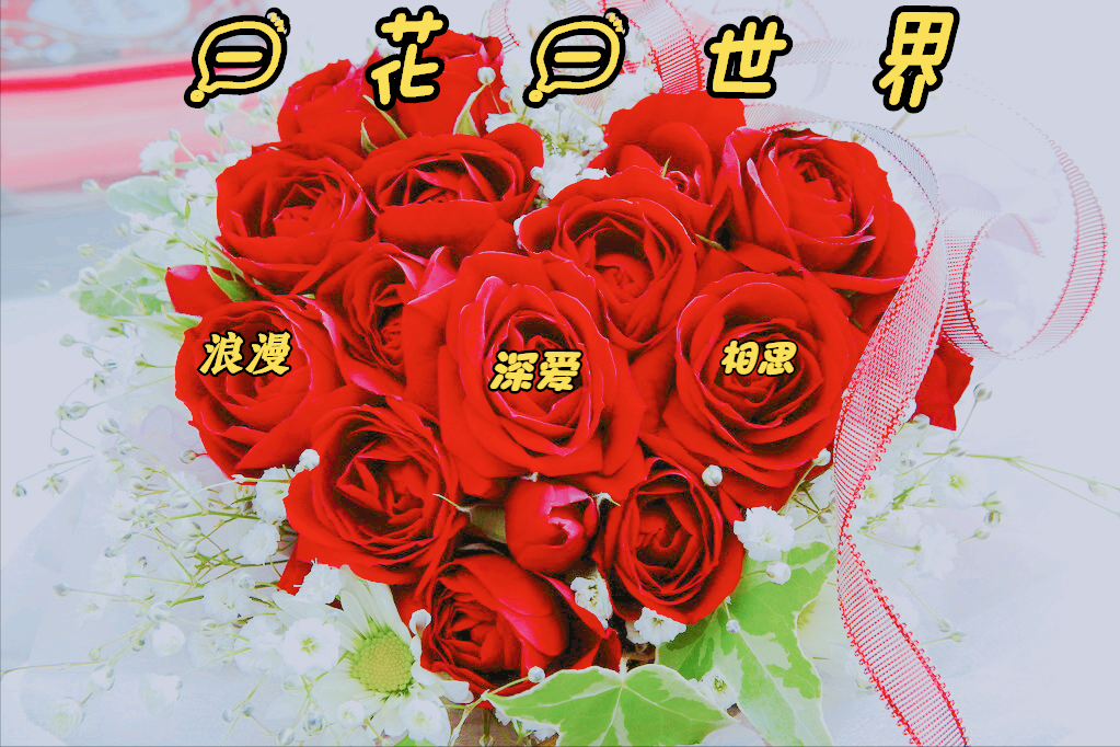 唯美带花的爱情句子_晶羽科技