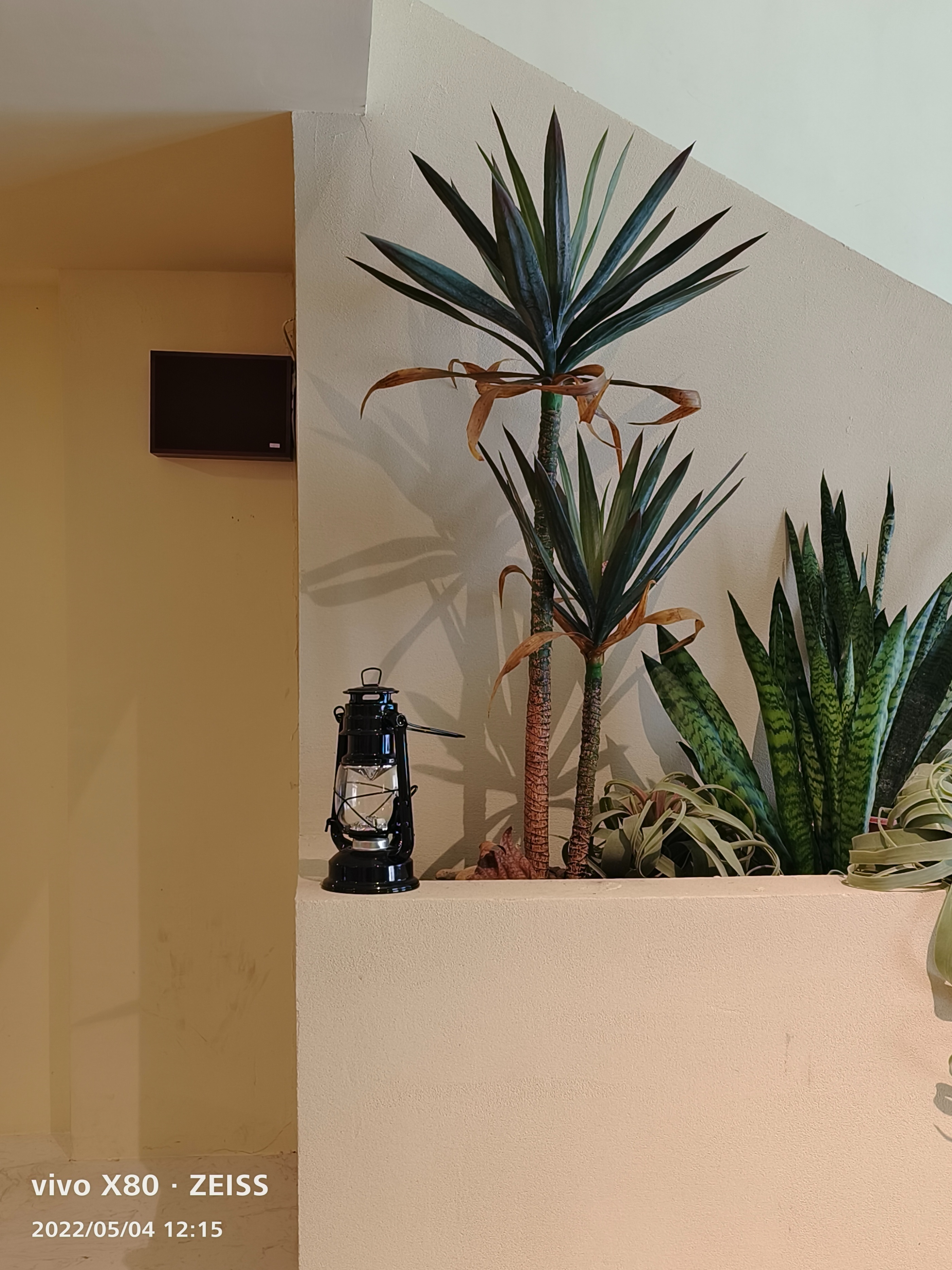 标准版也有Pro实力，天玑9000+蔡司影像加持，vivo X80上手实测