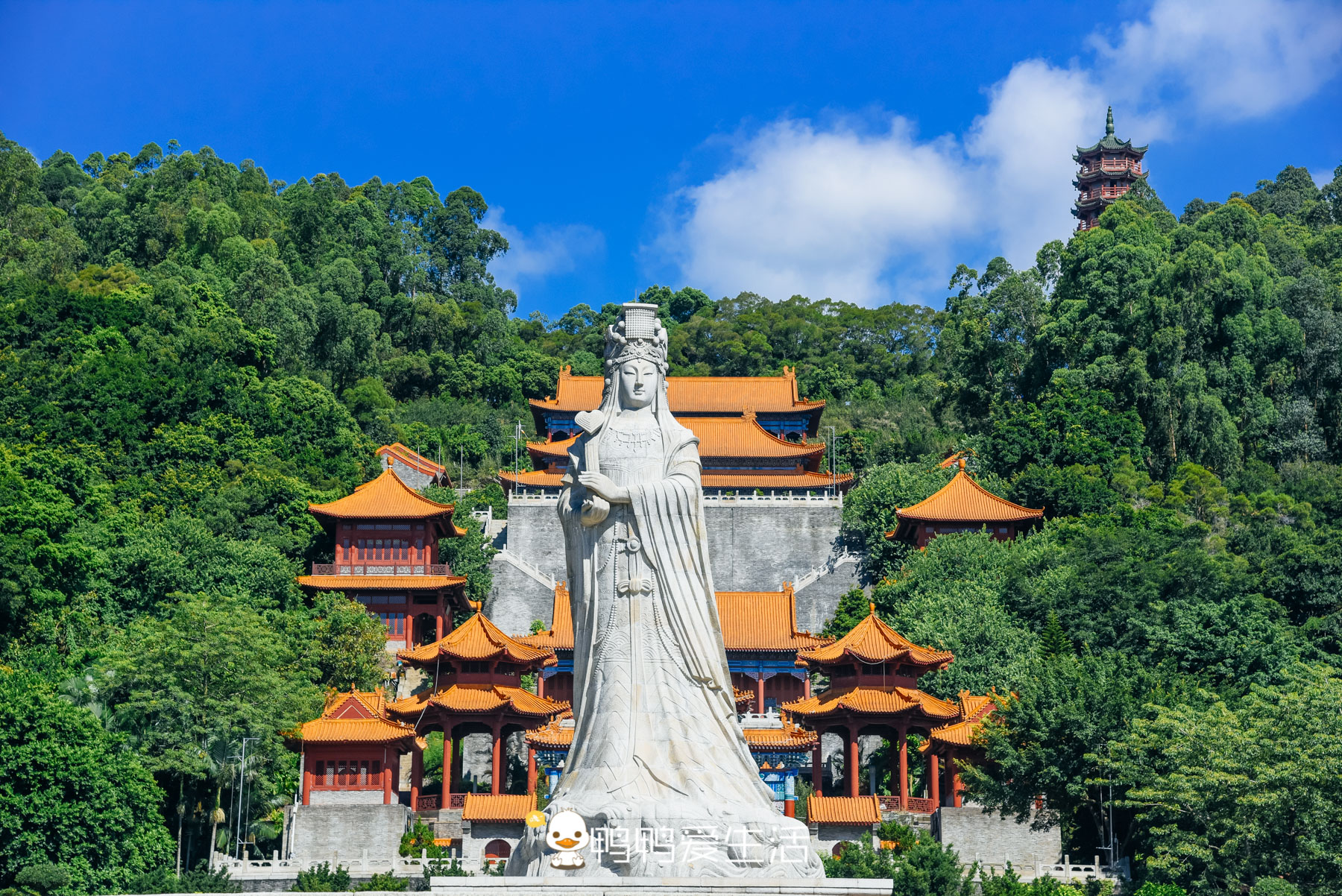 疫情之下最好旅游地:自驾去广州南沙吧,六大玩法亲近自然吃海鲜 - 114