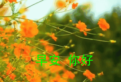 2022朋友圈温馨早上好问候暖心语录 最新版漂亮鲜花早上好动态美图图片