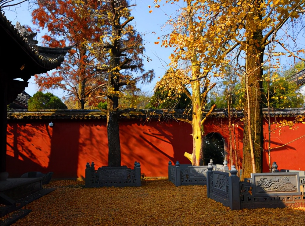 浙江旅游：感受南孔圣地衢州有礼的城市魅力（图）