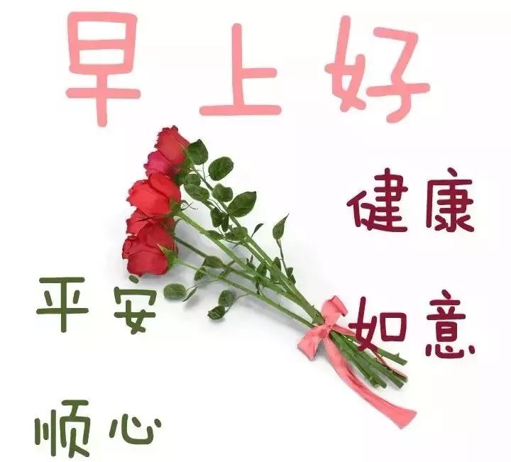 周二朋友圈新鲜清明祝福早上好问候语温馨 珍惜好时光、健康过百年图片
