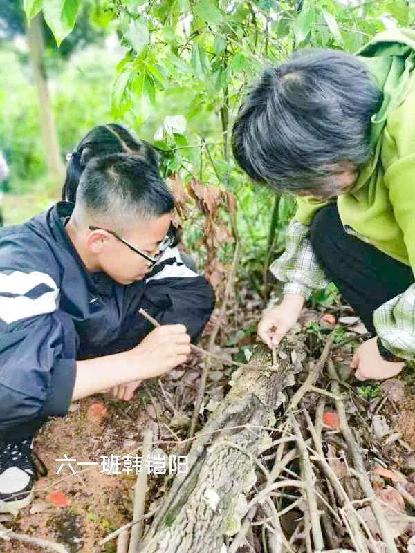 黄甲小学开展“人人参与科技节，我的科技节我做主”科技节活动