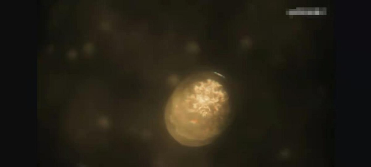 回归宇宙起初，探索人类本源，恒星竟是造物主