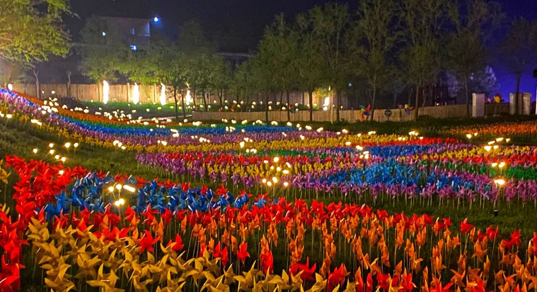 央视新闻再次聚焦西九华山景区花千谷成为全国赏花经济的一抹亮色