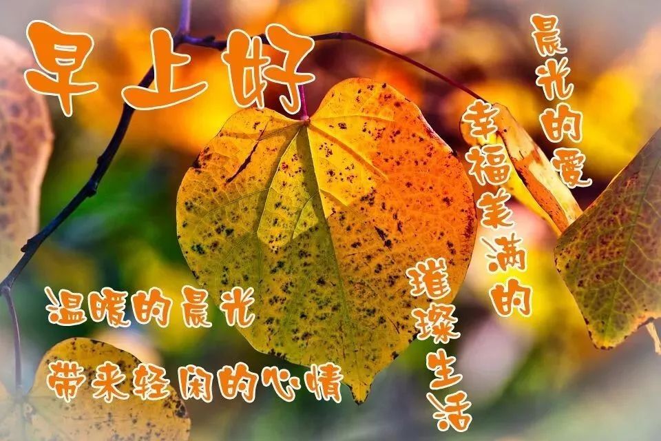 秋天每日更新早晨好美图表情 平安顺心、健康如意图片