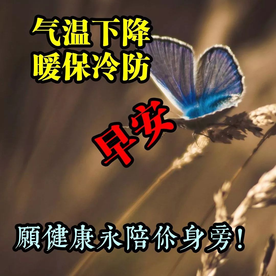 早上好朋友，春去秋来，唯有牵挂你的心，始终如一，幸福就在身边图片
